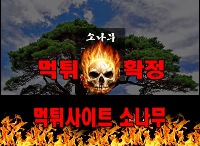 먹튀사이트 먹튀신고 소나무 먹튀 먹튀검증 소나무 먹튀확정 먹튀안내