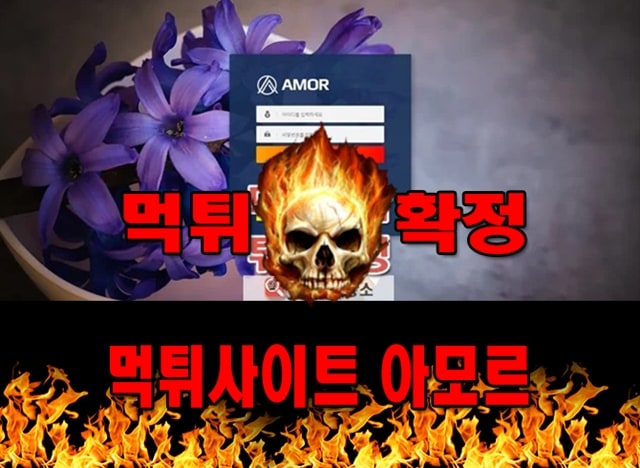먹튀사이트 먹튀신고 아모르 먹튀 먹튀검증 아모르 먹튀확정 먹튀안내