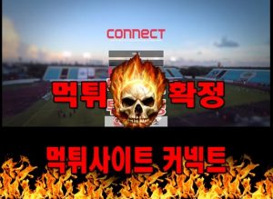 먹튀사이트 먹튀신고 커넥트 먹튀 먹튀검증 커넥트 먹튀확정 먹튀안내