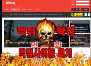 먹튀사이트 먹튀신고 피치 먹튀 먹튀검증 피치 먹튀확정 먹튀안내